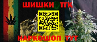 крисы Будённовск