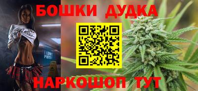 крисы Будённовск