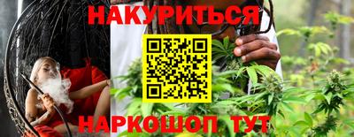 крисы Будённовск