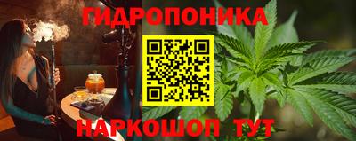 крисы Будённовск