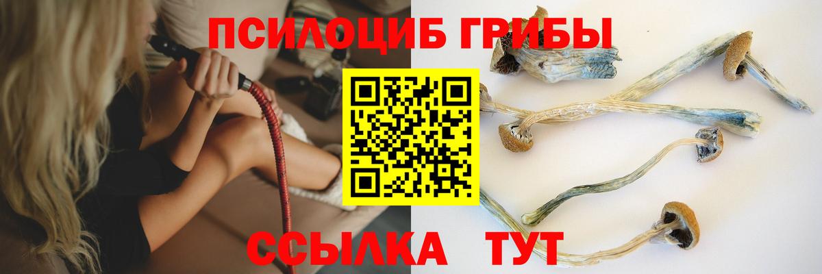Псилоцибиновые грибы мухоморы Ртищево
